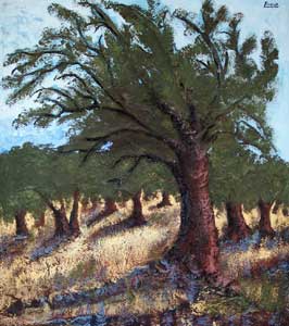 olivo